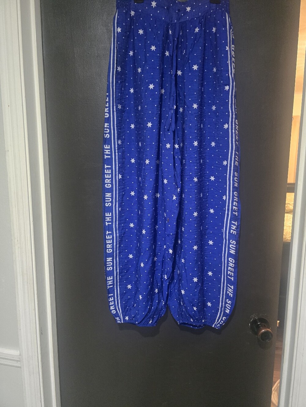 Anthropologie Blue Star Print Harem Pants